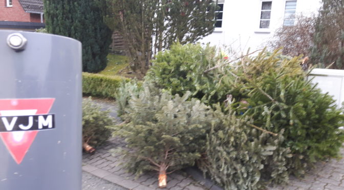 Bäume eingesammelt- danke!