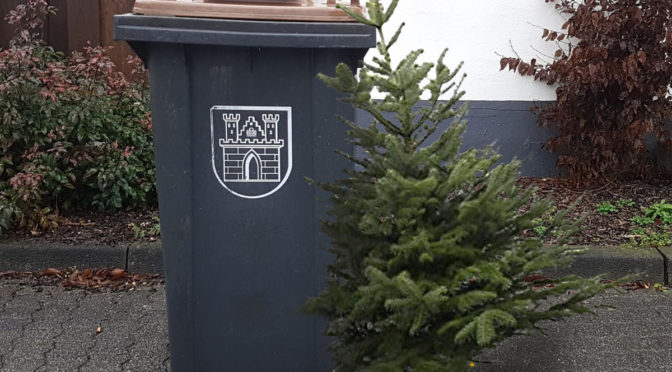 Weihnachtsbaumaktion der Jungschar