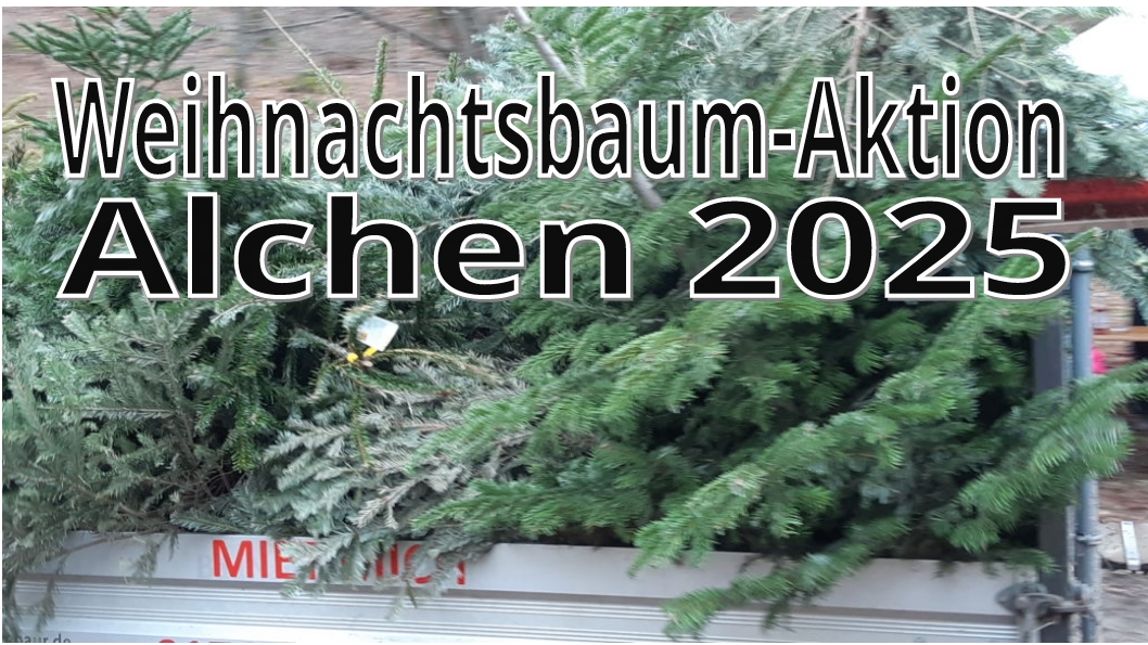 Einsammeln der Weihnachtsbäume